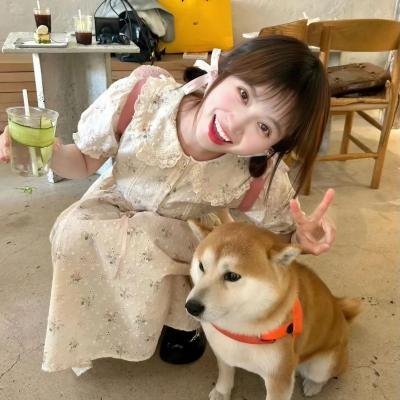 风临樱花开